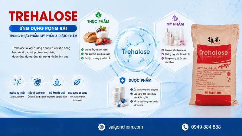 Trehalose được ứng dụng trong thực phẩm, mỹ phẩm v&agrave; dược phẩm.
